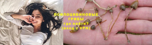 гашик Белокуриха