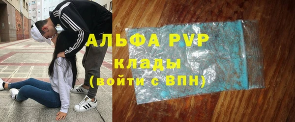 гашик Белокуриха