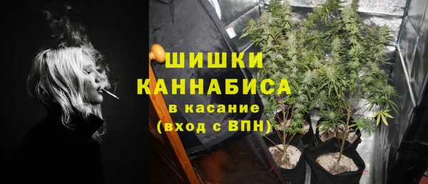 гашик Белокуриха