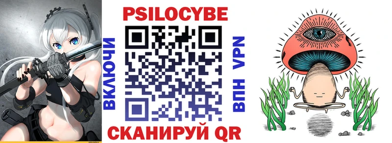 Галлюциногенные грибы MAGIC MUSHROOMS  кракен зеркало  Елизово  купить наркотики цена 